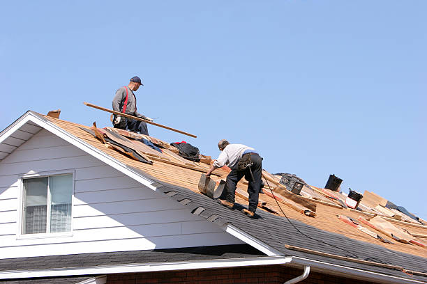 Best Metal Roofing Installation  in World Golf Village, FL