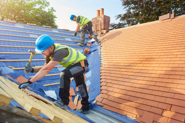 Best Roof Insulation Installation  in World Golf Village, FL